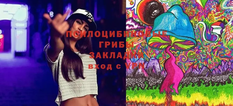 OMG сайт  что такое   Алушта  Псилоцибиновые грибы Cubensis 